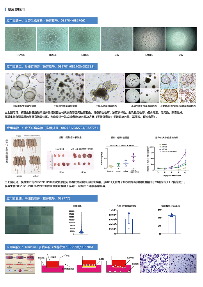 基質膠產品宣傳單頁-背面 - 副本.png